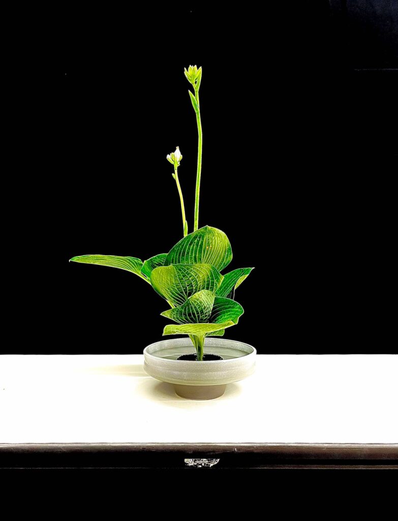 フラワーゼーション 生け花